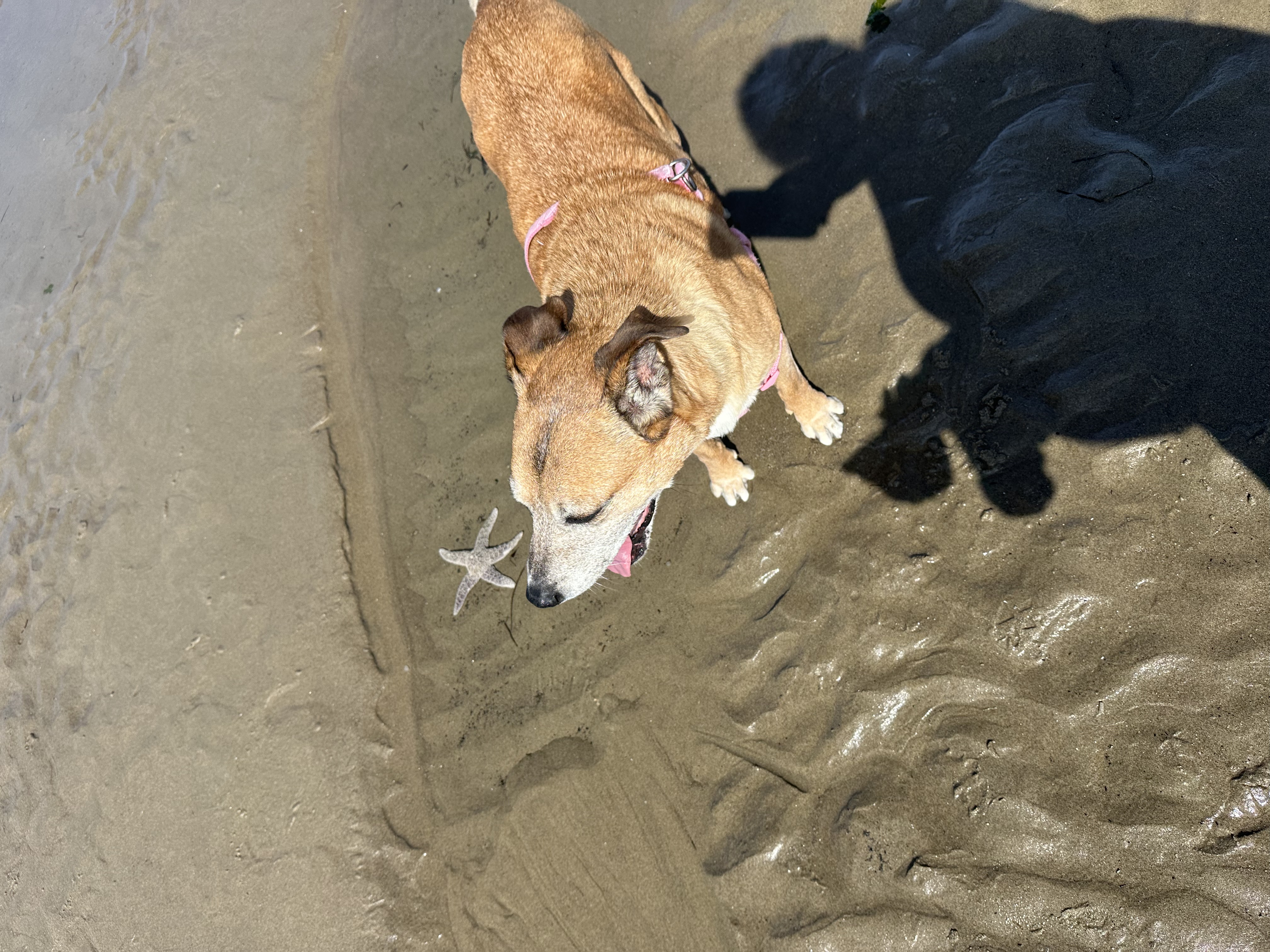 Playing