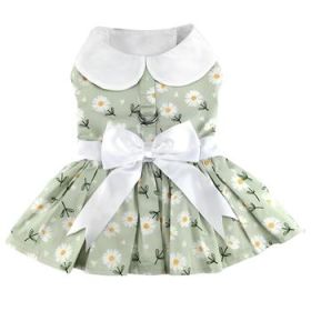 Mint Green Daisy Dress (Option: Large)