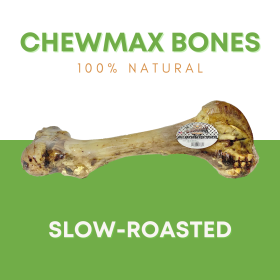 Femur Beef Bone (size: Case- 10)