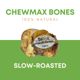 Femur Knuckle Beef Bone (size: Case- 12)