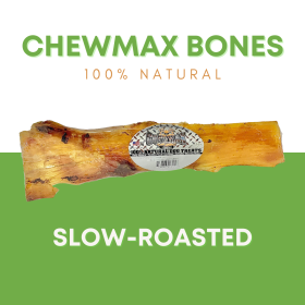 10" Beef Back Strap Dog Bone (size: Case- 24)