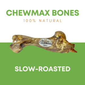 Dino Beef Bone (size: Case- 15)