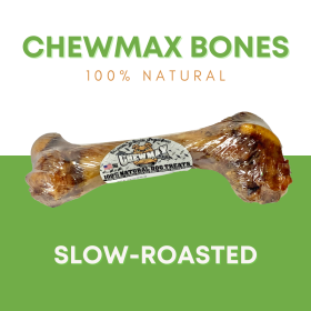 Porky Femur Bone (size: Case- 24)