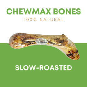 Slammer Beef Bone (size: Case- 15)