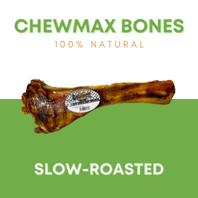 Tibia Beef Bone (size: Case- 8)