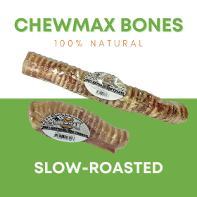 5 Count 5"-6" Beef Trachea Dog Chews (size: Case- 6)