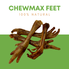 Turkey Feet (size: Case- 18)