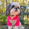 Color-Block Flex Fit Hoodie - Pink on Gray