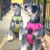 Venture Paw PULL CONTROL Harness - Wild Raspberry