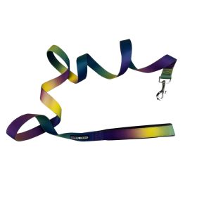 American River Ombre Leash - Cosmic Splash (Option: 1 inch wide
 x 6 feet long)