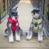 Venture Paw PULL CONTROL Harness - Aspen